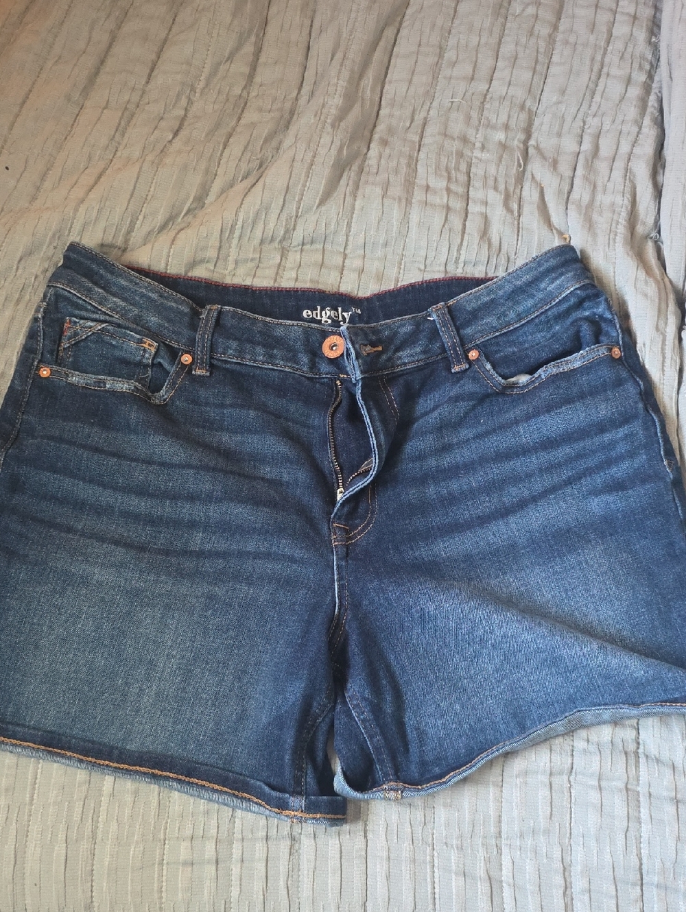edgely Dark Wash Denim Shorts - Blue